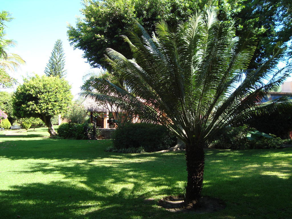 Casa Marly Hotel Xochitepec Eksteriør billede